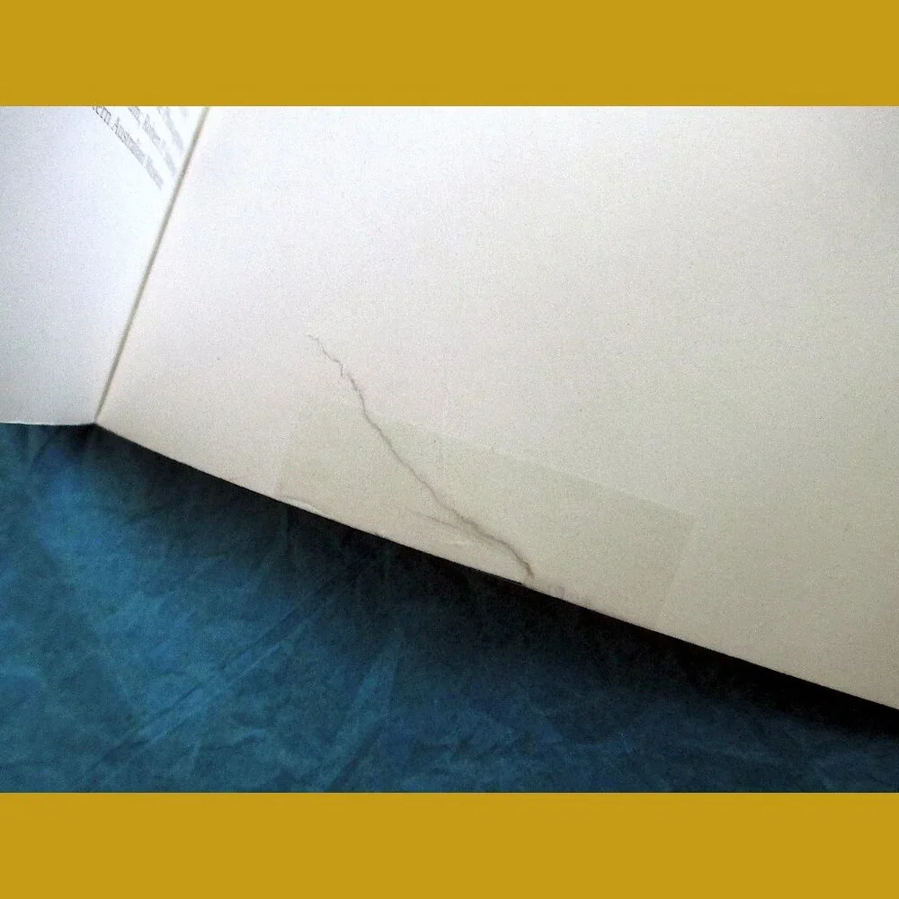 Book - The Little Guides: Dinosaurs, ed. by Dr. Paul Willis - Picture 12 of 16